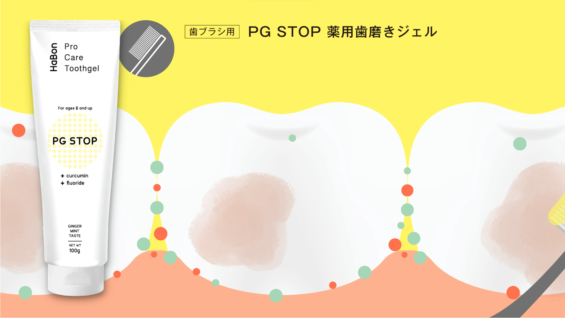 HaBon PGSTOP | Pro Care ToothGel HaBon|薬用歯磨きジェル